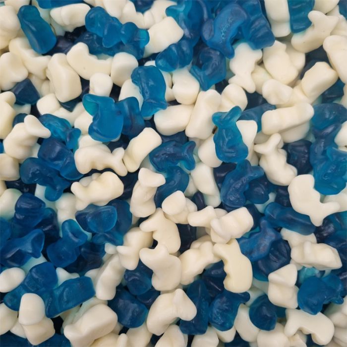 Baby Blue Gummy Dolphins