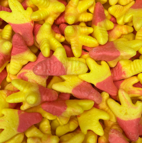 Freeze Dried Chicken Feet