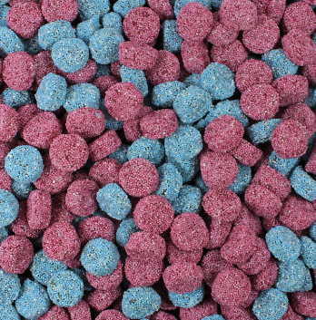 Jelly Spogs