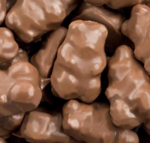 Chocolate Covered Foam Bears