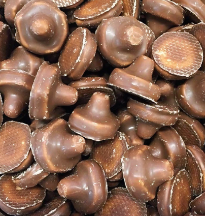 Chocolate Covered Foam Mushrooms